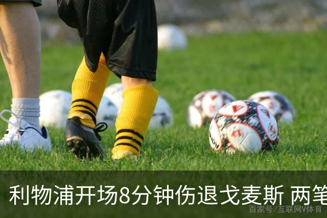利物浦开场8分钟伤退戈麦斯 两笔350万引援被迫搭档季前赛