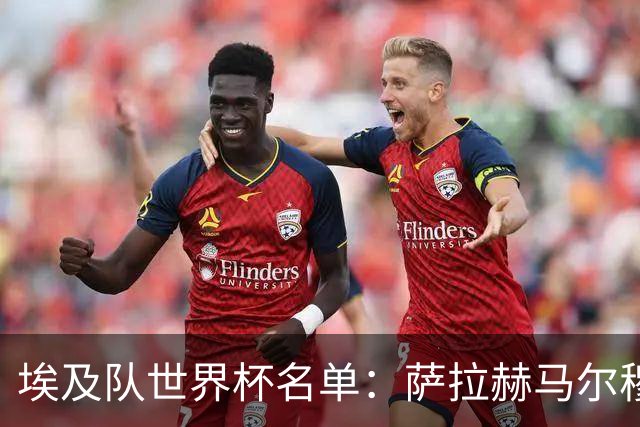 埃及队世界杯名单：萨拉赫马尔穆什领衔 首战踢比利时