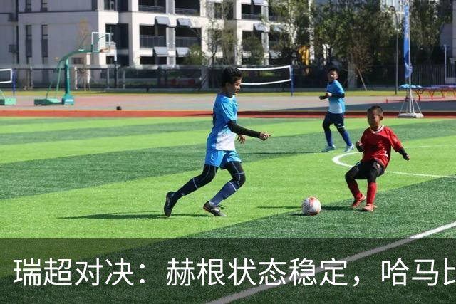 瑞超对决：赫根状态稳定，哈马比能否摆脱低谷？赫根VS哈马比